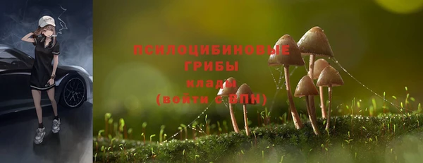 спиды Абдулино