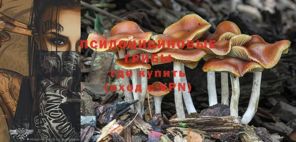 спиды Абдулино